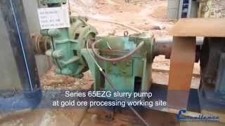 Excellence Pump Industry  Centrifugal slurry pump in China gold mining [upl. by Mackoff659]