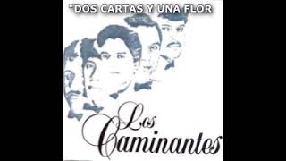 LOS CAMINANTES DOS CARTAS Y UNA FLOR [upl. by Nylarac]