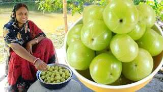 সর্দি কাশি গ্যাস অম্বল দূর করতে আমলকী এইভাবে একবার খেয়ে দেখুন দারুন উপকার পাবেন  amla recipe [upl. by Bohon]