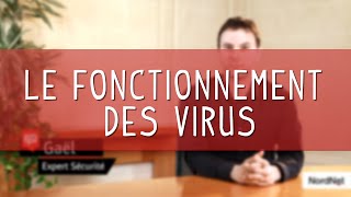 Les virus informatiques fonctionnement chap1 Paroles dexperts [upl. by Eerok370]