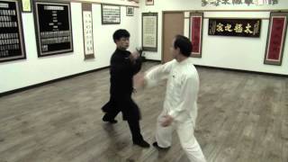 Lee Chan  Taichi 13 Techniques 李燦 太極十三手 [upl. by Ynnattirb]