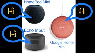 Asking “3 Laws of Robotics”  Google Home Mini vs HomePod mini vs Echo Input  Amazon Echo Wins🏆 [upl. by Dorrej]