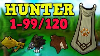 199120 Hunter Guide Updated 2022 AFK amp Fastest Methods  Runescape 3 [upl. by Chernow957]