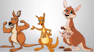 Jumping Kangaroo Song [upl. by Nylasej784]