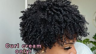 No gel Moisturized curls for  Dry Natural hair [upl. by Nosak]