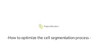 MicrobeJ  How to optimize the segmentation process [upl. by Marchall]