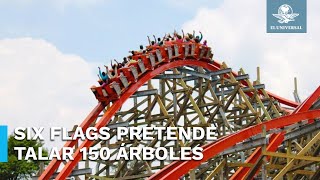 Tlalpan se opone a tala de árboles que implica nueva atracción en Six Flags [upl. by Liman]