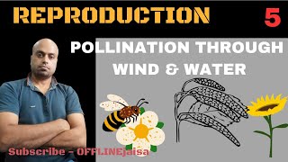 POLLINATION THROUGH ABIOTIC AGENTS [upl. by Annid]