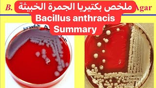 ملخص بكتيريا الجمرة الخبيثة Bacillus anthracis Summary [upl. by Wiedmann]