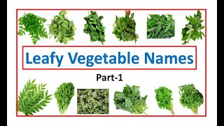 leafy vegetable names  names of leafy vegetables  leafy veggies  leafy  EToddlers [upl. by Ahsias72]