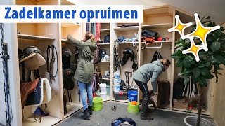 MEGA opruiming zadelkamer en dekjes verzameling 40  felinehoi [upl. by Tammara]