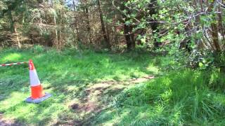 ulster xc round 1 ballykelly forest [upl. by Adnorahs]