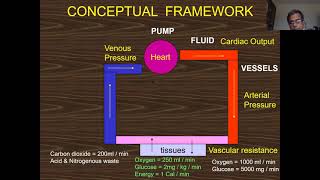 SHOCK BASIC HAEMODYNAMICS Part 1Dr George John [upl. by Nemrak]