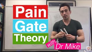 Pain Gate Theory [upl. by Dohsar]