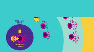 CHOZN® GS cell line Accelerate your upstream process development [upl. by Aceissej68]