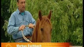 ZDF Beitrag quotFreies Reiten mit Markus Eschbach  Reiten ohne Sattel und Zaumzeugquot [upl. by Anaderol]