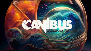 CANIBUS  BLEND 134 [upl. by Milburr908]