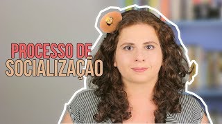 Processo de Socialização Mecanismos e Níveis de Socialização 13 [upl. by Colner]