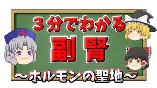 【3分でわかる】副腎って何？場所・機能・病気を解説【ゆっくり解説】 [upl. by Sellma]