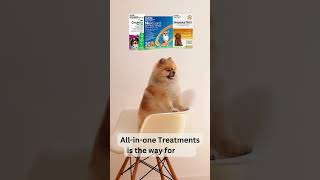 Top Allinone Dog Treatments for 2024  Fleas Ticks Mites Heartworm amp Worm Treatment  VetSupply [upl. by Kenric407]