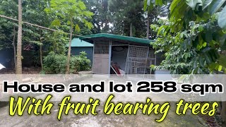 L07423 Bungalow house and lot 258 sqm with fruit trees tagaytay climate  Philippines [upl. by Lednam182]