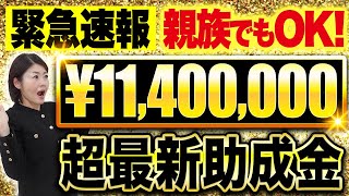 【緊急速報】最大1140万円手に入る助成金３選 [upl. by Georgeanne]