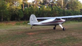 Grass Strip Takeoff in the Luscombe [upl. by Saltzman]