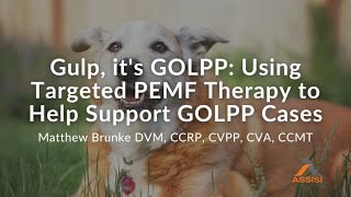 Gulpits GOLPP Using Targeted PEMF to Help Support GOLPP Cases [upl. by Yltsew]