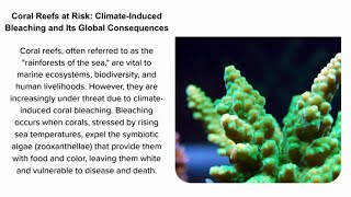 Coral Reefs are DISAPPEARING at an Alarming Rate [upl. by Seigler]