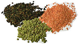 10 Amazing Health Benefits of Lentils  Health And Nutrition [upl. by Nodlew]