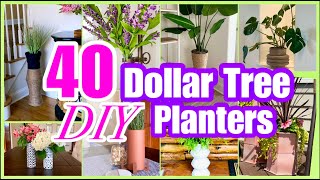 40 DOLLAR TREE PLANTERS  VASES DIY DECOR [upl. by Harelda532]