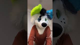 Very angry frog fursuiter agere furry tiktoktrend furrytiktok meme cute ageregressor [upl. by Dermot]