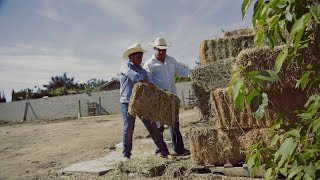 La MarK de Tierra Caliente  Mi Héroe Video Oficial [upl. by Morten439]