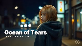 Ocean of Tears  NiExshadow  Official Lyrics [upl. by Sedecram]