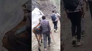 amarnath Yatra Baltal root 2024 mountains amarnath amarnathyatra travel hindufestival nature [upl. by Ozner794]