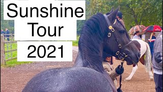 Sunshine tour championship show at hickstead 2021 supreme champion Danaway the gambler horse vlog [upl. by Torr3]