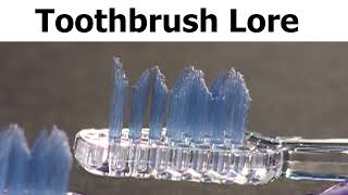 Toothbrush Lore [upl. by Akcimat]