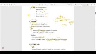 connective tissue revision IHB [upl. by Saval418]