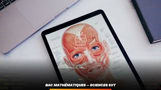 Sommaire ： Sciences SVT – Bac Mathématiques [upl. by Enisaj]