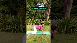 🧘‍♀️😊3 asanas for lower back pain shirts catcowpose cobrapose childpose [upl. by Hewet]