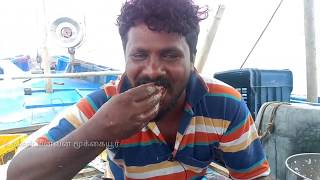 அடடா என்னவொரு சுவை மீன் வறுவல் பழை சோறு  Fish fry with ice biryani  Seafood  Ungal meenavan [upl. by Zile463]