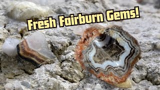 First Fairburn Agate Hunt Of 2024 [upl. by Leandre741]