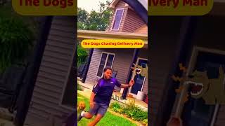 1001 Situations of American Shippers being chased by dogs during delivery full version at RELATED [upl. by Gratiana577]