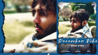 December Vibe  Harry Harinder  Big Boyz  New Punjabi Songs 2023  Latest Punjabi Songs [upl. by Ardaid]