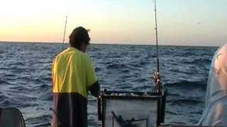 Barwon Banks Fishing Trip [upl. by Aekahs]