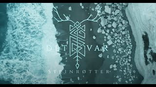 Det Var  Steinrøtter Official Video [upl. by Annabelle689]