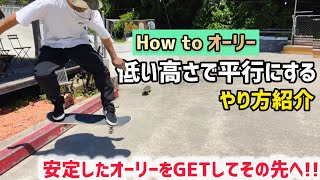 【How toオーリー】低い高さで平行にする方法オーリー ollie skateboarding スケボー スケートボード スケボー初心者 スケートボード初心者 [upl. by Angelis]