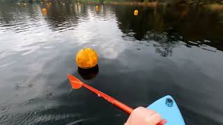 PADDLE BOARDING  LOCH LOMOND [upl. by Dlonyer1]