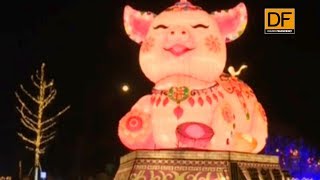 Entérate en DF En China ya celebran el nuevo año y es del Chancho [upl. by Gonyea]