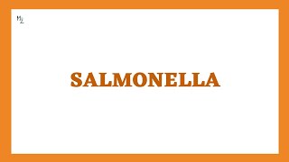 Salmonella typhi paratyphi enterica morphology pathogenesis clinical findings  Salmonellosis [upl. by Hunger]